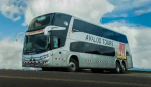 BUS-DOBLE-PISO