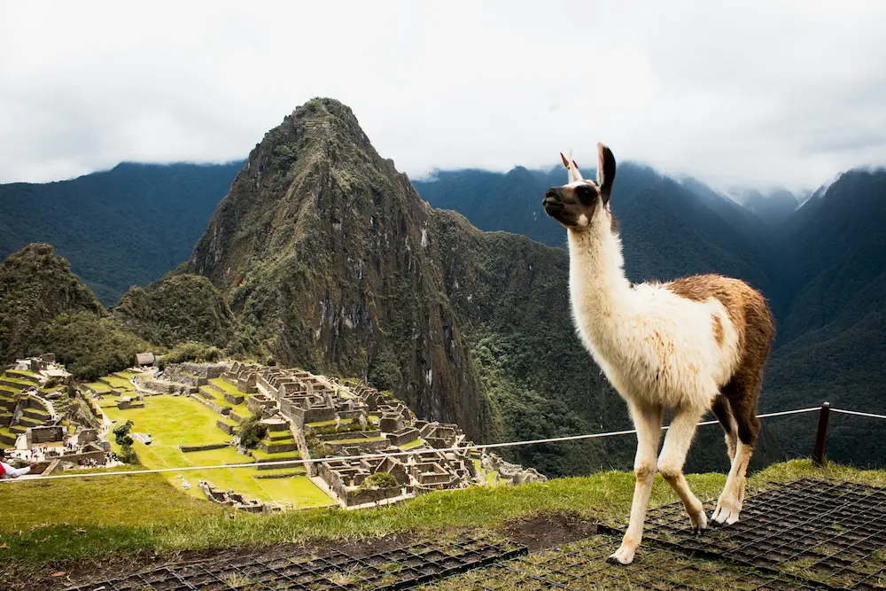 Machu Picchu 2 Days