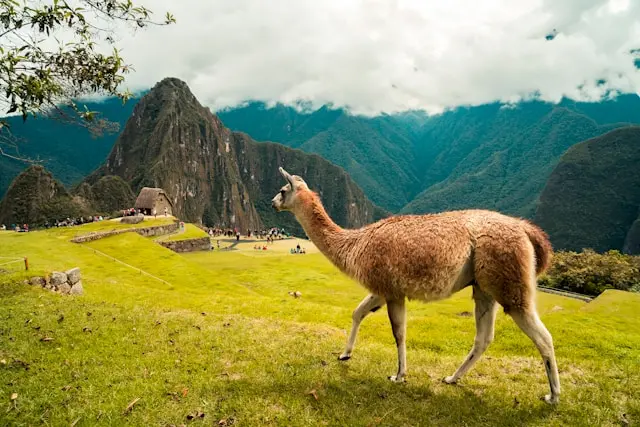 machu picchu tours
