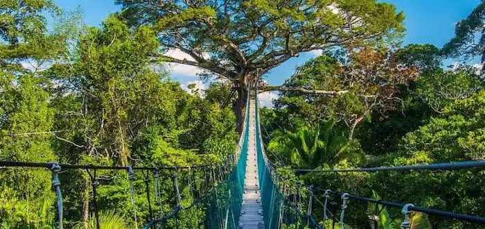 Tambopata