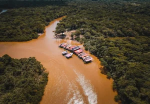 best destinations to travel to the jungle