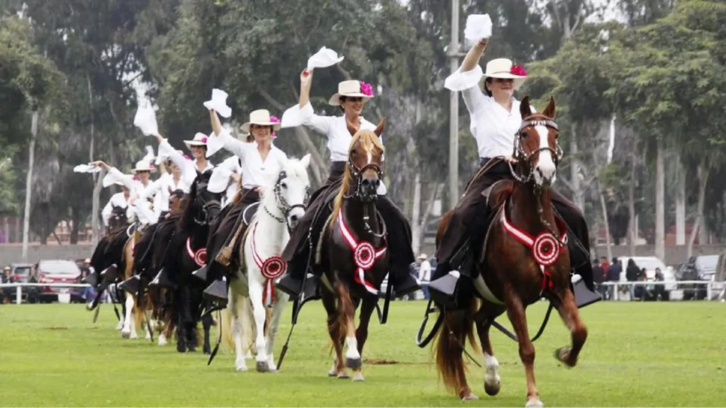 show de caballos de paso