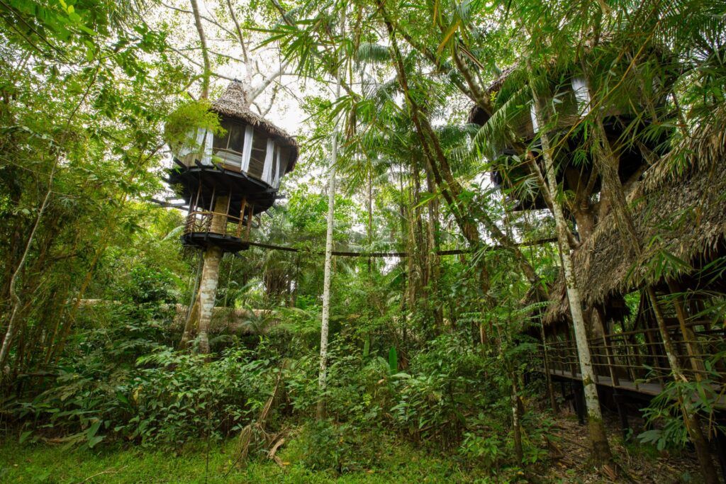 treehouse bungalow iquitos