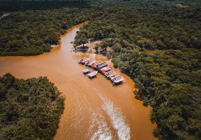 What not to forget If you’re visiting the jungle