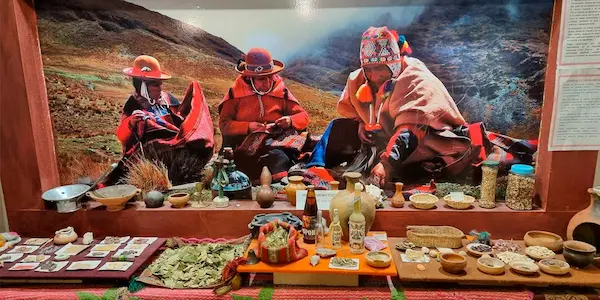 11. Coca museum