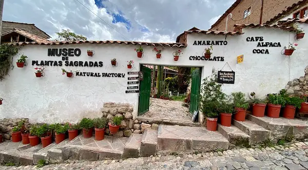 14. Museum of sacred plants magic and medicine