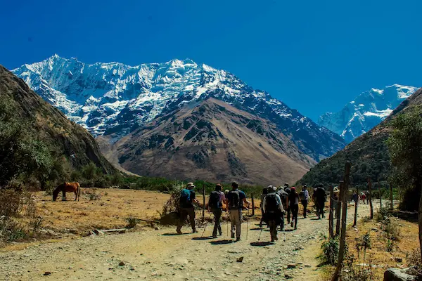 Natural Treatment for Elevation Sickness Used in Peru