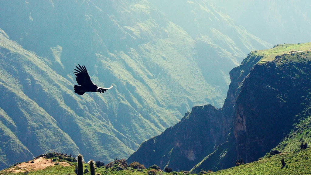 valle colca
